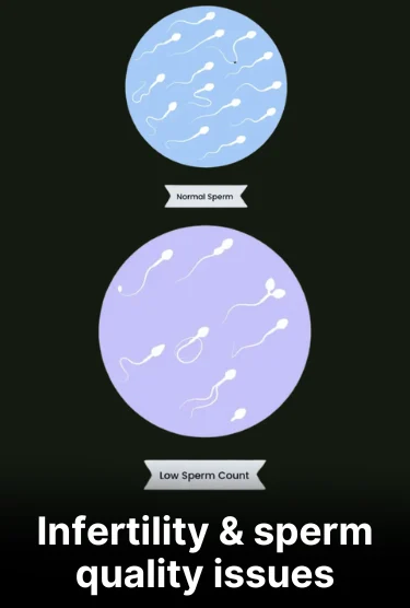 zw22ekozgexhlprefbkz